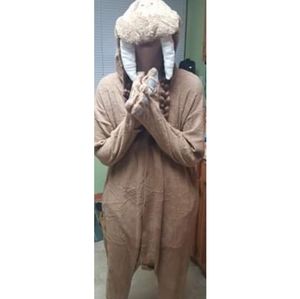Walrus Onesie (NWT)